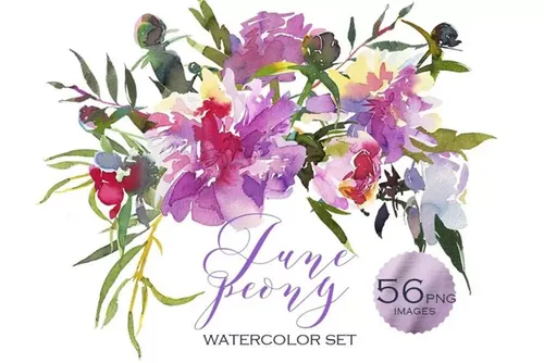 粉红牡丹水彩剪贴画Pink Peony Watercolor