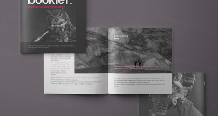 书籍杂志模型PSD贴图模板Square Psd Brochure Mockup