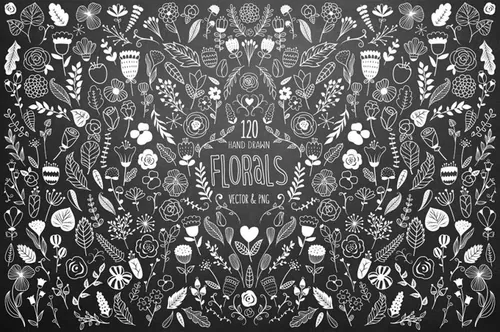 手绘美丽的花朵植物设计素材120 White Florals Vector-amp; PNG