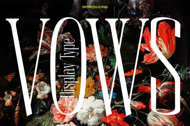 优雅苗条时尚婚礼请柬女性品牌设计英文衬线字体 Vows El