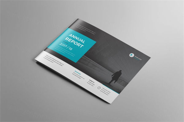 画册品牌手册杂志设计模板 annual report landscape