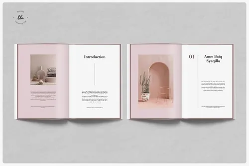 粉色主题品牌和商业计划书设计模板 CHROMATIC Brand  Business Proposal 3692208