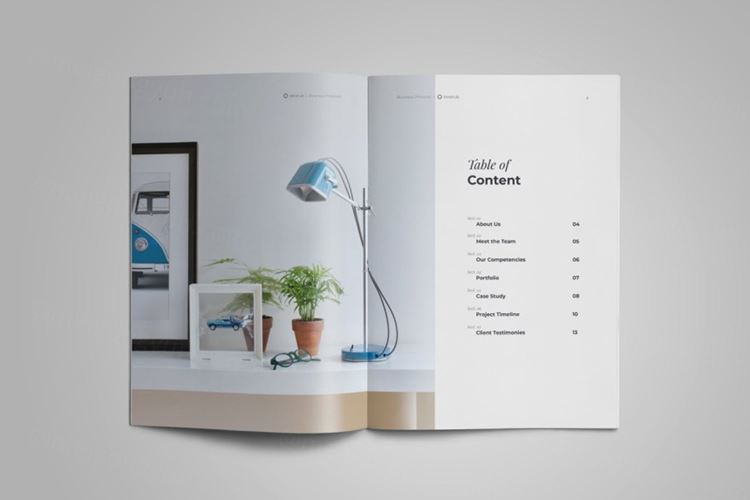 杂志品牌手册画册宣传册设计模板  business proposal template