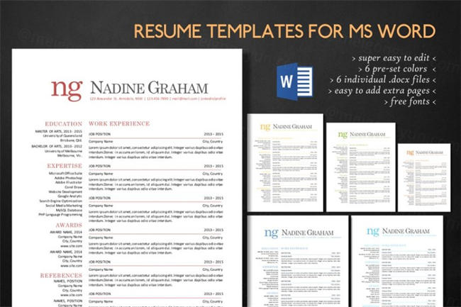 超级简单的文字版简历模板 Super clean typography Word resume