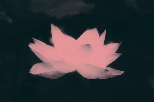 惊人的照片光晕处理特效PS动作素材 Lights Photoshop