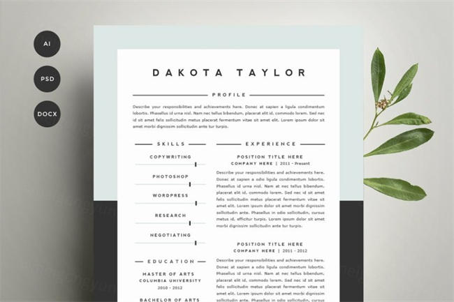 简洁的简历模板 Resume Template 4 Pack  CV Template