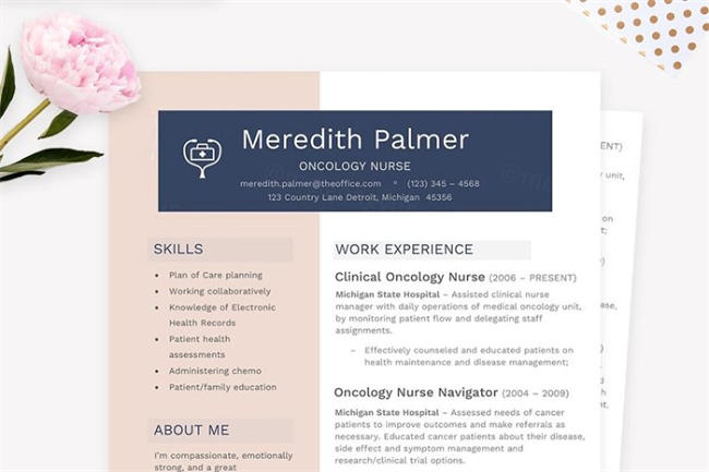 护士简历模板 Nurse Resume CV Template Pkg