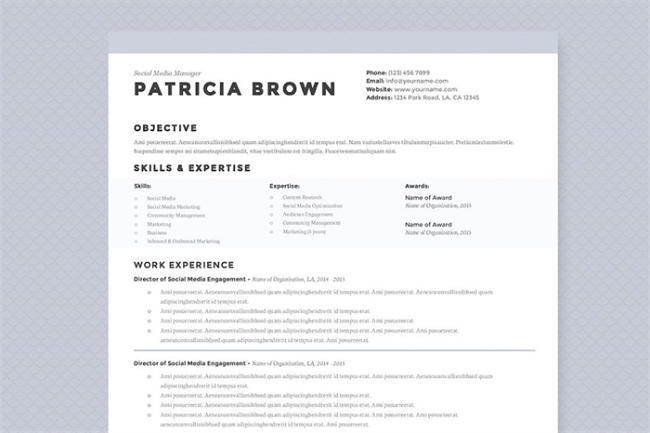 干净的简历模板 Clean Resume Template Pkg
