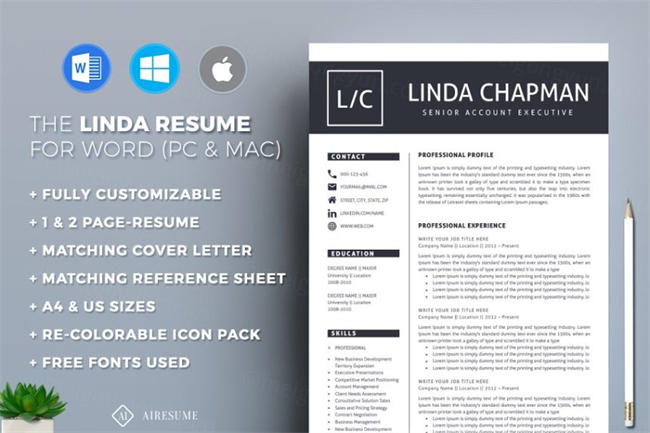 专业的简历模板 Resume CV Template