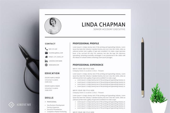 专业的简历模板 Professional ResumeCV Template