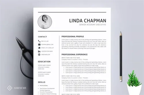 专业的简历模板 Professional ResumeCV Template