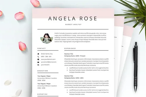 专业的简历模板 Professional ResumeCV Template