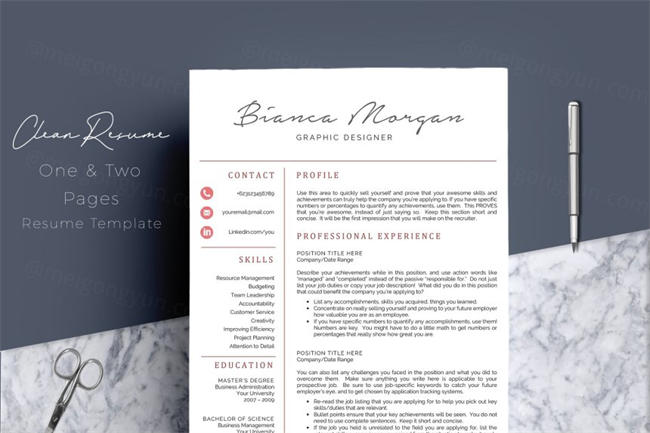 4页专业的简历模板 4 Pages Professional Resume CV