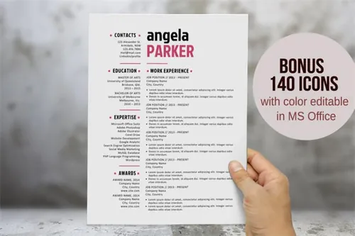 大标题的简历模板 Large name 3 in 1 resume template