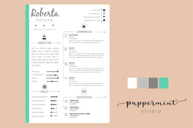 漂亮的简历模板 Resume Template Cover Letter WORD