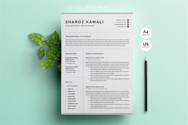 简约的简历模板 ResumeCV Template 4 Pages Pack