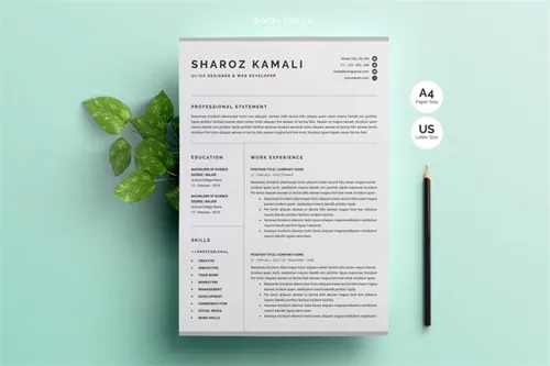 简约的简历模板 ResumeCV Template 4 Pages Pack