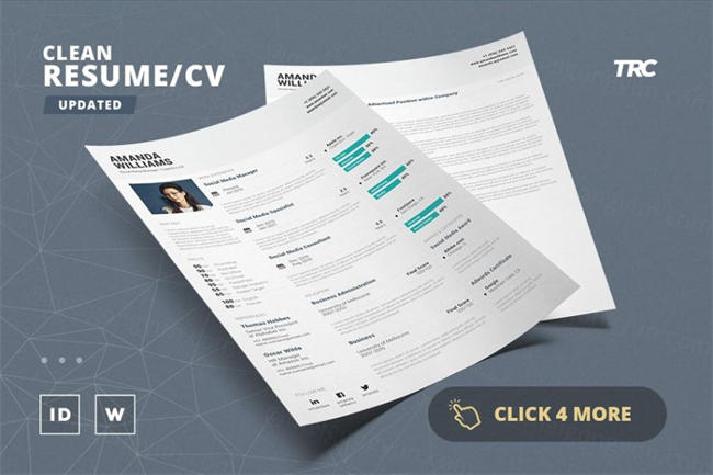 干净专业的简历模板 Clean Resume Cv Template Volume