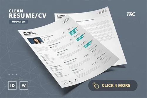 干净专业的简历模板 Clean Resume Cv Template Volume