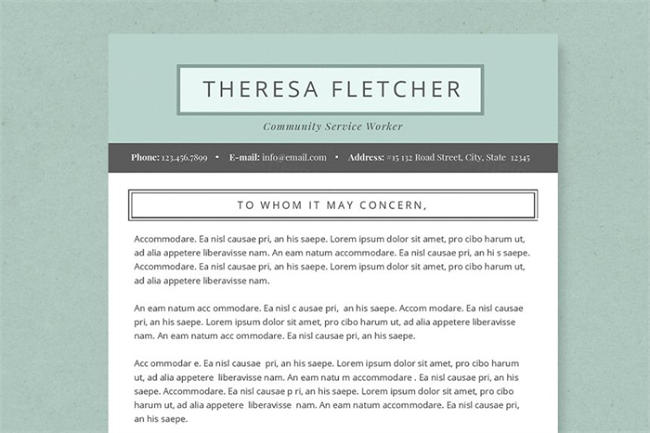 经典的简历模板 Chic Resume Template Package