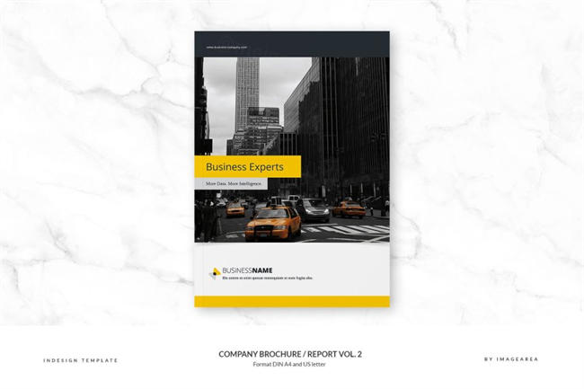 企业画册报告模板 Company Brochure   Report