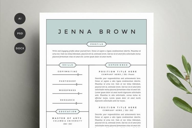 正规标准的简历模板 Resume Template 4 Pack CV Template