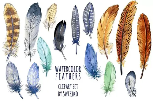 水彩多彩羽毛剪贴画 Watercolor feather clipart