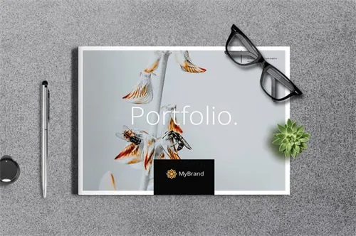 植物盘栽组合手册景观画册 Portfolio Brochure Landscape 3369768