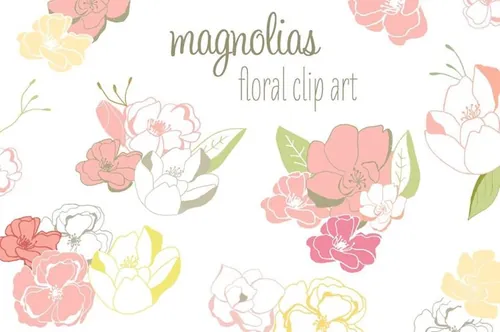 高质量手绘花卉插图素材Magnolia Clip Art
