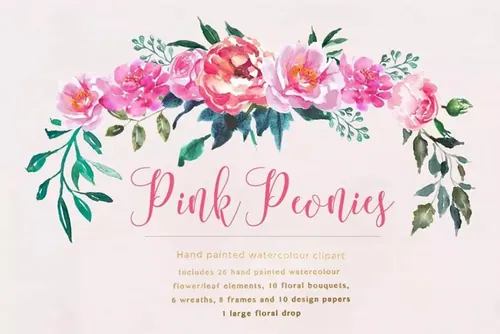 牡丹花水彩剪贴画 Peonies Pink Flower C