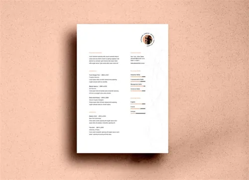 极简主义个人简历模板 Flame Professional Resume Template
