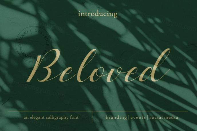 优雅浪漫的手写英文字体 Beloved Romantic Script