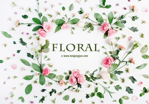 春天春季手绘鲜花花卉高清实拍图High definition