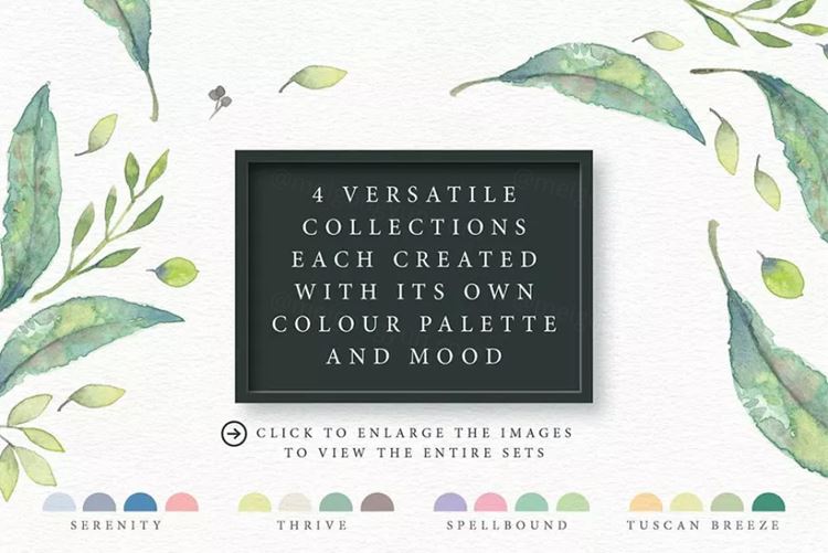 四合一优雅水彩剪贴画 4in1 Elegant Waterc