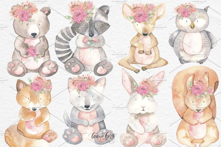 水彩动物和花卉剪贴画 Watercolor Animals