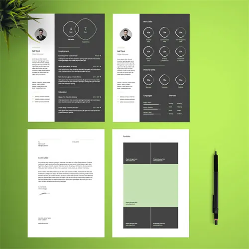 信息图表类型简历模板  Infographic Resume Template