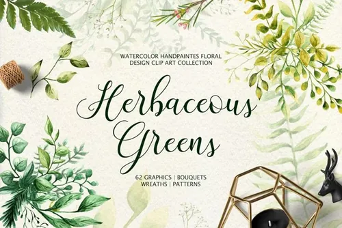 草本绿色水彩PNG免扣素材画集 Herbaceous Gre