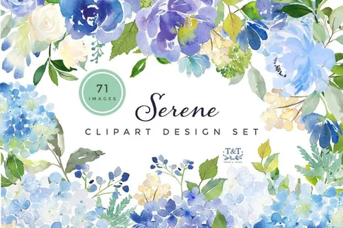 蓝色绣球花/牡丹和玫瑰的花卉组合水彩剪贴画矢量素材 Sere