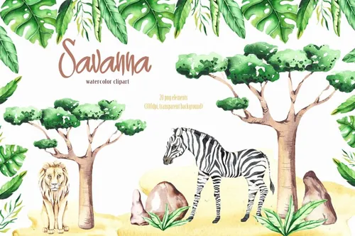 稀有热带动植物剪贴图插画素材合集包 Savanna anim