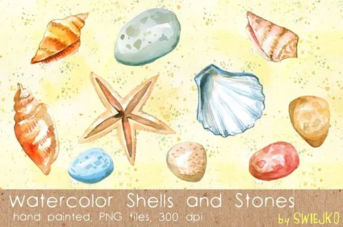 Shells , Sea Treasures