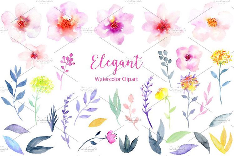 水彩花卉精品图案素材 Watercolor Flower C