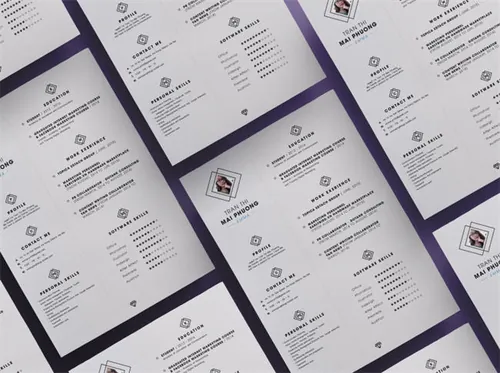 个人商务求职/简历模板 Neat Resume Template