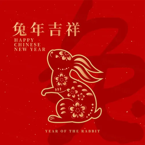 2023年中国新年生肖兔年东方传统节日促销宣传海报招贴EPS