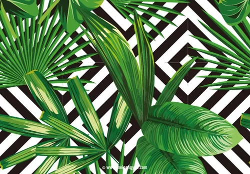 绿色叶子免抠矢量元素Green leaves