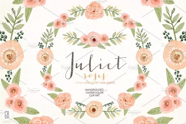 水彩珊瑚橄榄花环 Watercolor coral oliv