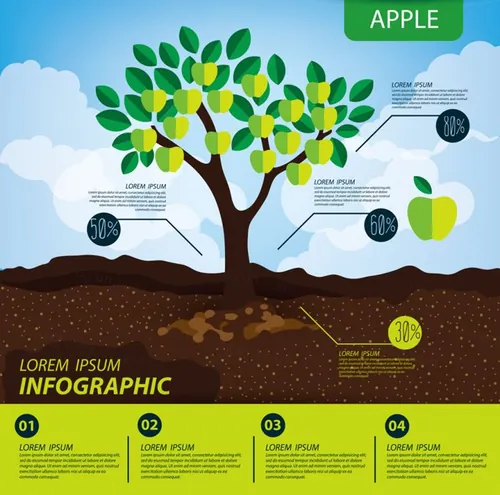 苹果树信息图形水果矢量插图绘画设计素材Apple infographics