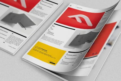 逼真书籍杂志模型PSD贴图模板Magazine Mockups