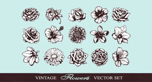 Hand-drawn Flowers Vol004