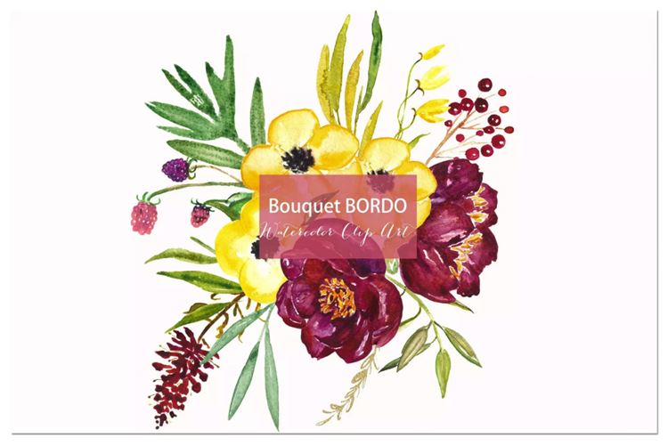 水彩牡丹花卉剪纸艺术数字剪贴画 Peony Bordo. W