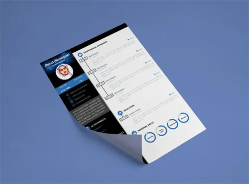 个人简历排版设计模板 Professional Unlimited Word Resume Template